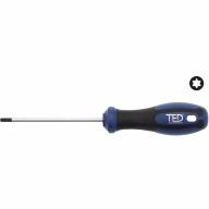 Tournevis TORX TED T20 4x100