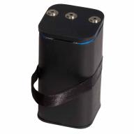 Batterie Li-Ion avec chargeur pour détecteur vScanM