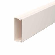 Moulure de distribution Lg 2m 20x50 mm blanc