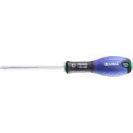 Tournevis TORX Expert T25 5x100