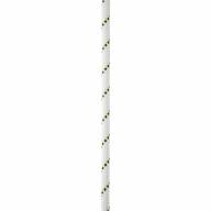 Corde PARALLEL semi-statique Blanche - Ø10,5mm Lg 200m PETZL - 1 TC