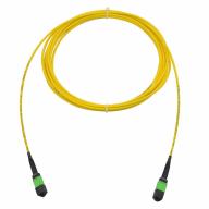 Trunk MTP®-12 APC (Mâle) vers MTP®-12 APC (Mâle), monomode (OS2)