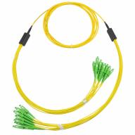 Trunk préco 12FO SCA0.5m/SCA0.5m Ø3,0mm G.652D Lg 10,0m