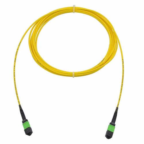 Trunk FO 12FO MTPAF/MTPAF OS2 Po - Trunk optique MTP/MPO