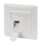 Plastron RJ45 80x80mm sortie 45° - Prise RJ45