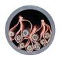 MaxCell EDGE MXE6428 - Fourreau, gaine PVC et accessoires